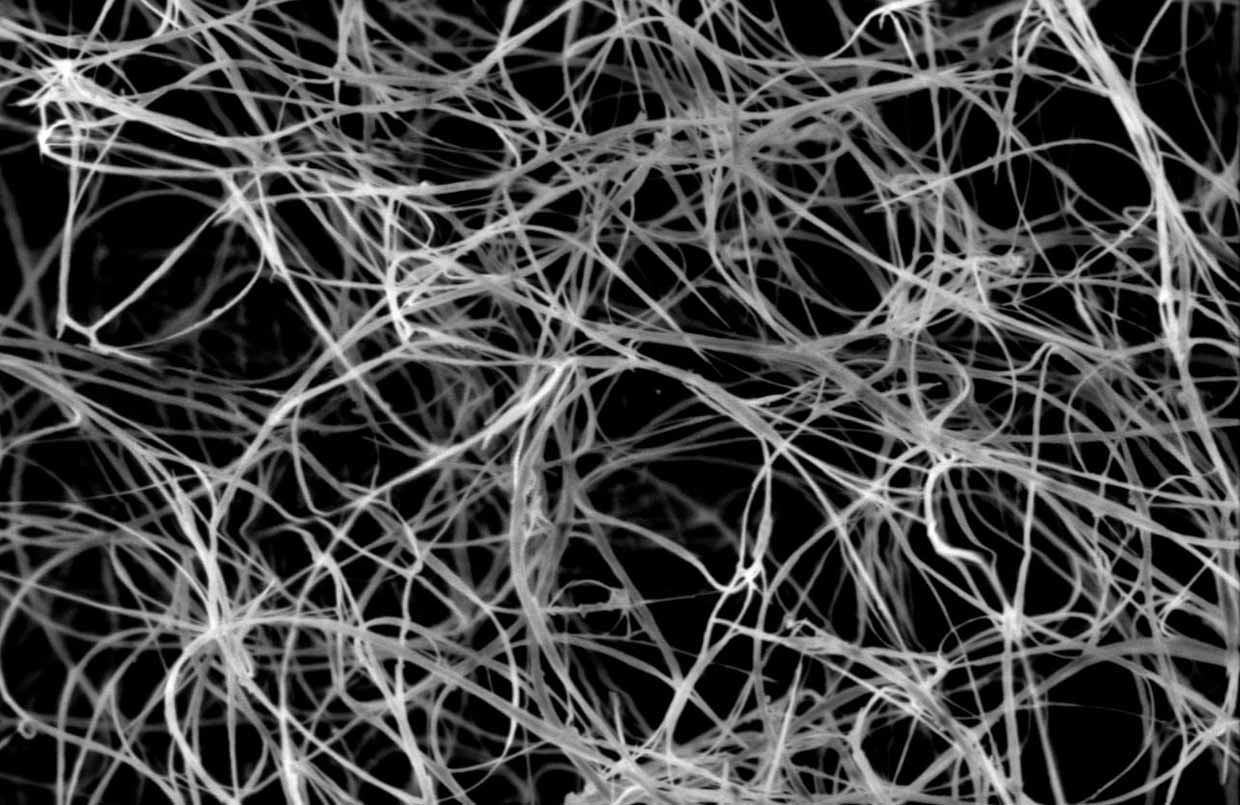 Unprocessed Boron Nitride Nanotubes
