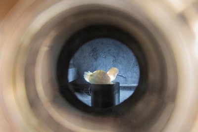 FAMU-FSU Researchers Find Thermal Limits of Advanced Nanomaterials FAMU-FSU Researchers Find Thermal Limits of Advanced Nanomaterials